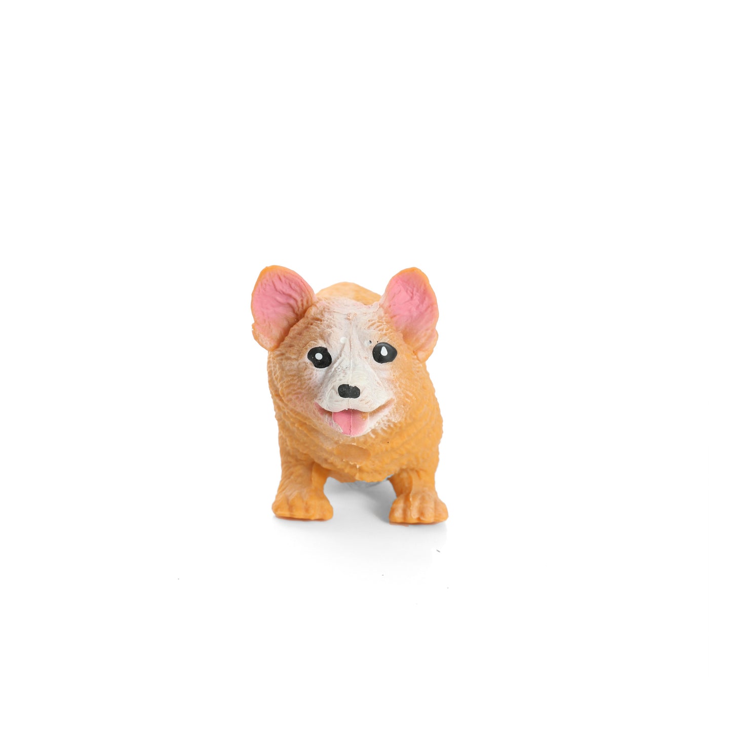 Squish Corgi