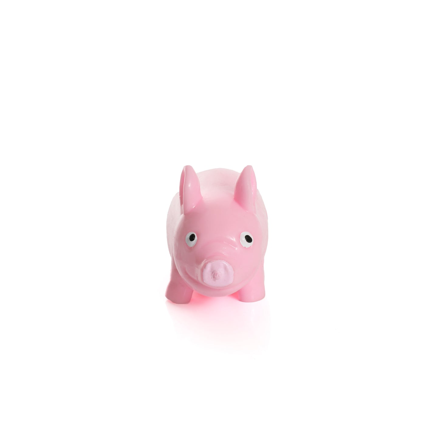 Stretchy Pig