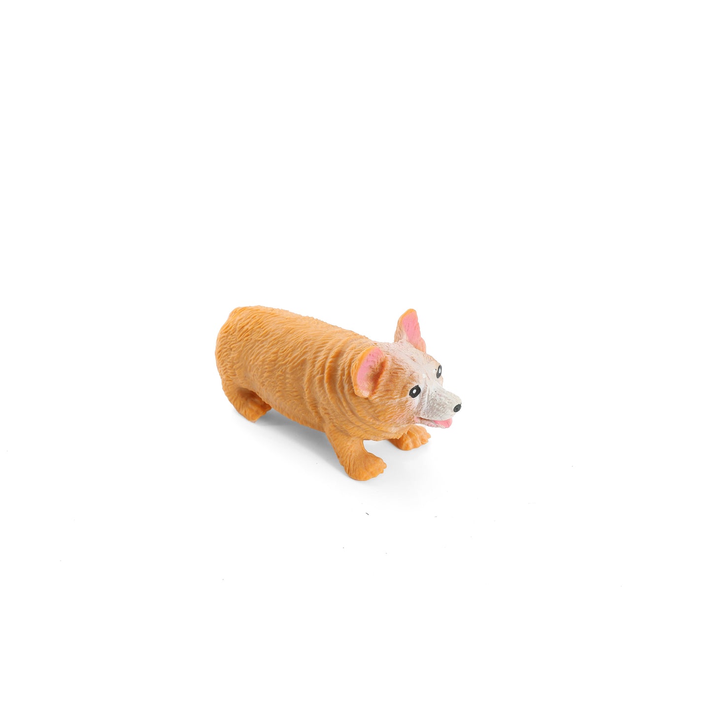 Squish Corgi